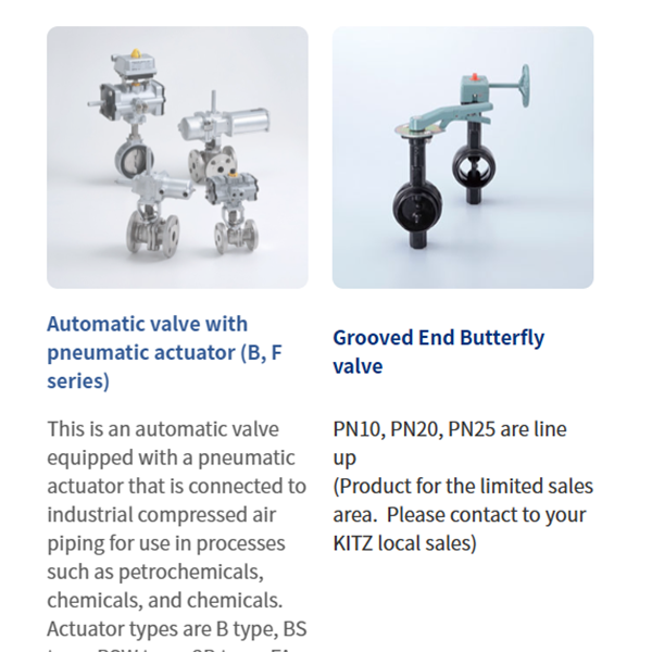 KITZ日本開滋閥門、10K電動蝶閥EXS100-10DJUE-100A