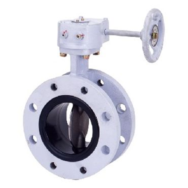 KITZ開滋球墨鑄鐵蝶閥VG-10NFJUE-150A