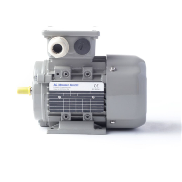 德國AC MOTOREN三相異步雙速電機AC10L2400003