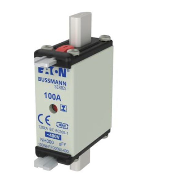 EATON伊頓Bussmann系列低壓 NH 型熔斷器  80NHG000B